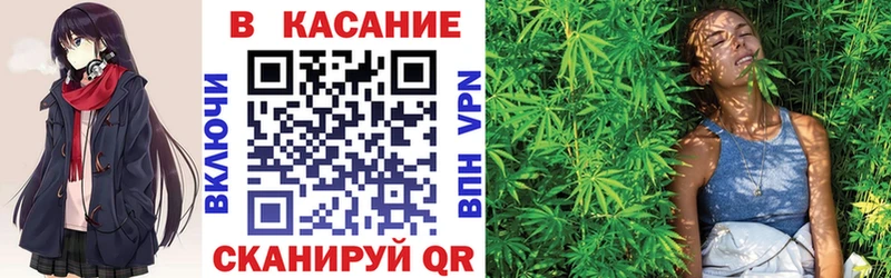 Что такое Сосновоборск Гашиш  Альфа ПВП  Псилоцибиновые грибы  Бошки Шишки  Меф мяу мяу 