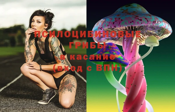 мдпв Михайловск
