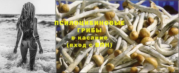 мдпв Михайловск