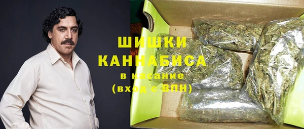 мдпв Михайловск
