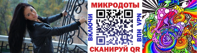 Галлюциногенные грибы Psilocybine cubensis Сосновоборск