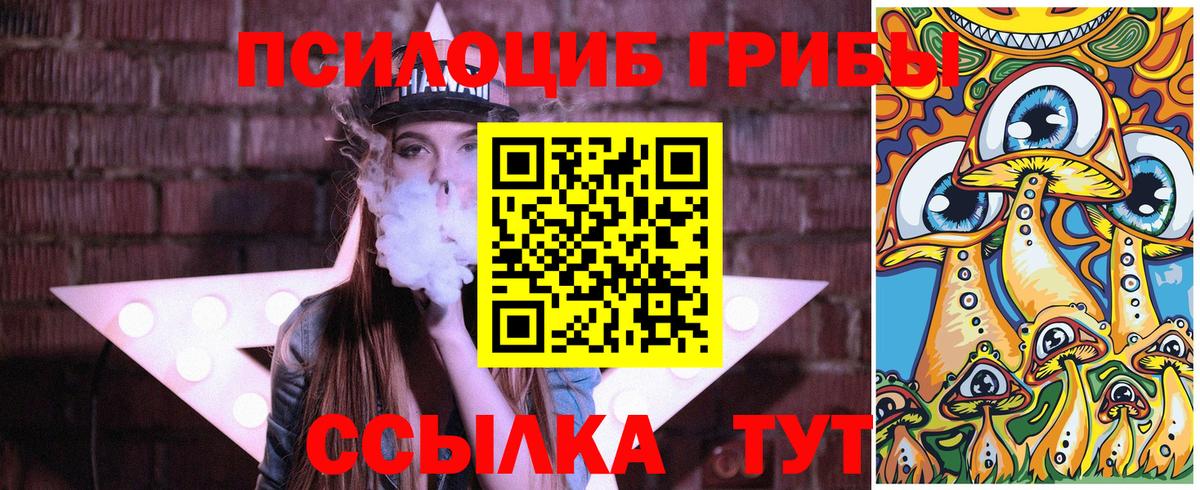ГАШ Сосновоборск